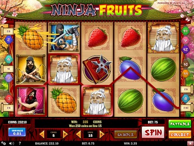 Vad är Ninja Fruits 22777