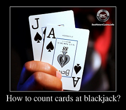 Blackjack counting cards NetEntertainment 40330