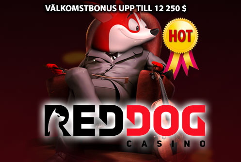 Online casino 28135